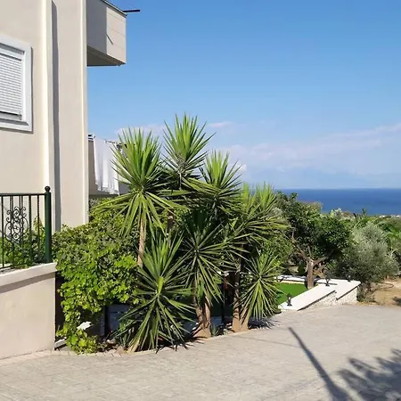 Estella Sorelle Ii * Longá