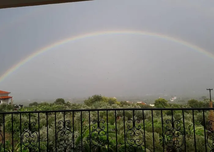 Estella Sorelle Ii * Лонга